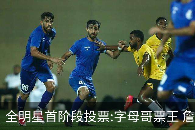 全明星首阶段投票:字母哥票王 詹姆斯西部票王